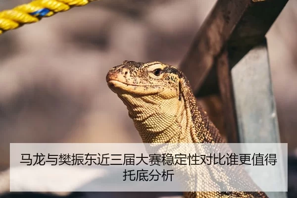马龙与樊振东近三届大赛稳定性对比谁更值得托底分析