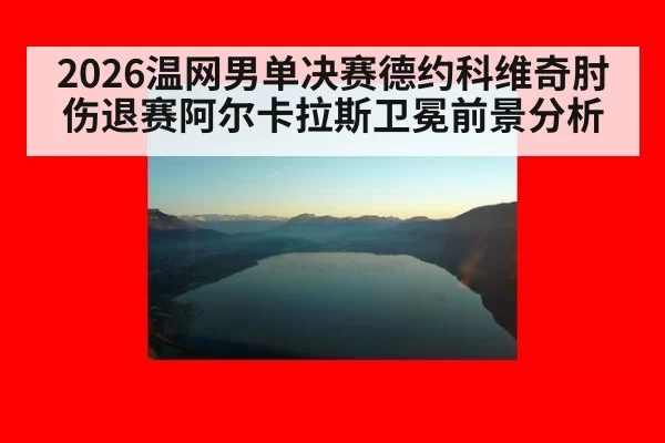 2026温网男单决赛德约科维奇肘伤退赛阿尔卡拉斯卫冕前景分析