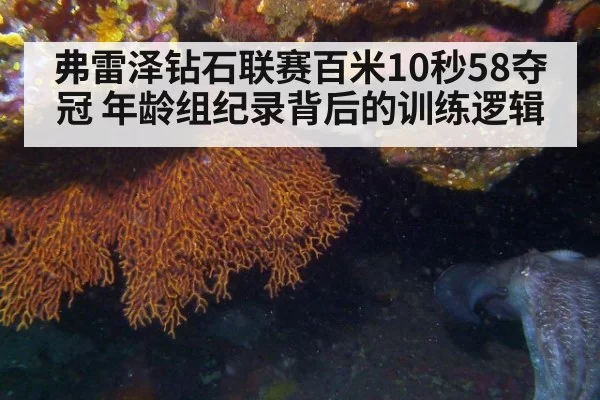 弗雷泽钻石联赛百米10秒58夺冠 年龄组纪录背后的训练逻辑